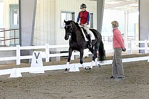 Dressage Clinics with Dottie Morkis